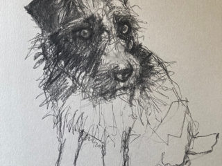 Charcoal Sketch Terrier