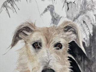 Lurcher with ink